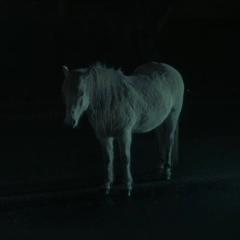孤身二人 - sQnlTLbwGujBViW9Rhb57DrSYEd.jpg