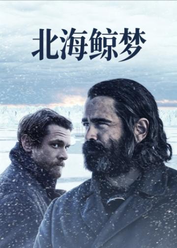 北海鲸梦