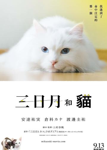 三日月与猫