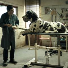 犬舍惊魂 - hWLalccEz8LWpRp4lfaI16NzMNC.jpg