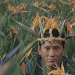 沸点 - ewCZBw1MlYg1Juk01IIo7vEra3C.jpg