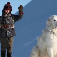 灵犬雪莉 - 636Lc5EuFaH6CzSfflpPOzXDvNH.jpg