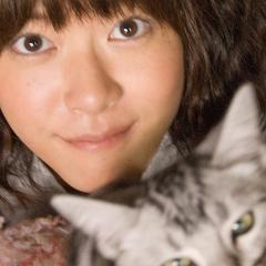 咕咕是一只猫 - f0YyWOy1sAHlY8TzyJYT9PrefeM.jpg