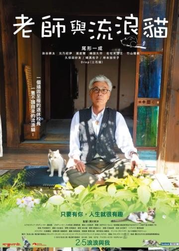 老师与流浪猫