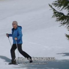 安东尼·波登：未知之旅 第十季 - p1770609814400964717.jpg