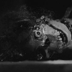 活死人之夜 - msPUiG0tIVPcLblsCs43yRKEdBr.jpg