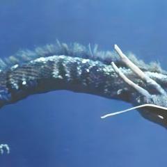 海底军舰 - kJYF8wuaUDNPwWTCQvEBj2SPoAh.jpg