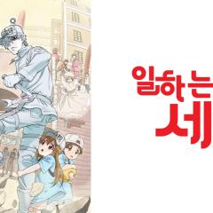 工作细胞 - iDq9gn4PTVtBHHPROwczMkgqQH1.jpg