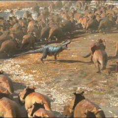 与恐龙同行 - 3FYCxe04rjRwOAGNfYUbHJZkMz0.jpg