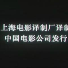 穿黄鞋的人是凶手 - p1607378220166211652.jpg