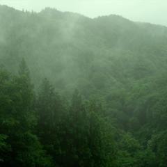 小森林：夏秋篇 - v6uG9kIm7hyLWmRGWpgXcYmmE5a.jpg