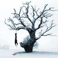 生人勿进 - 49fFaToKnGkZkM0sgIcdaf54A2g.jpg