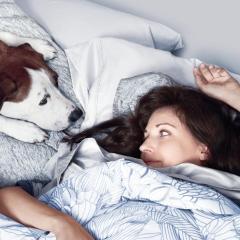 萌犬先生 - 6DJbiPfuwuueXIt2vSy9RKUk5j6.jpg
