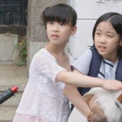 偷狗的完美方法 - gKmJyCgnqOvQcJk1d95p8mxgxnf.jpg